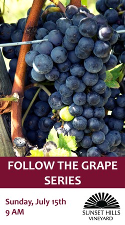 2018 Follow the Grape - Canopy Managment